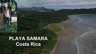 Playa Samara Costa Rica  Check out the beach and town [upl. by Lerual520]