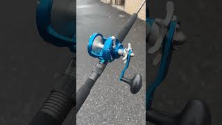 Buy an Avet MXJ Star Drag Reel get a Free 230 Rod [upl. by Jarin802]