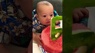 Happy 6 months old babyshortsvideo [upl. by Heather]