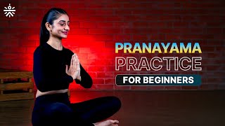 Pranayama Practice for Beginner  Yoga At Home  Yoga For Beginners  Yoga Routine cultofficial [upl. by Petite]