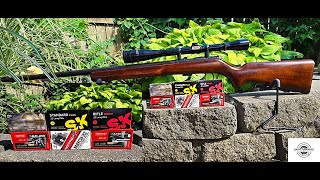 BRNO Mod 4 Budget 22LR Ammo Range Review [upl. by Cockburn]