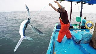 Pesca de PECES VOLADORES con Anzuelo y sin usar carnada [upl. by Tran]