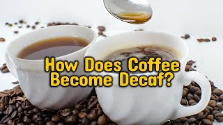 How Does Coffee Become Decaf The Decaffeination Process Explained [upl. by Lang]