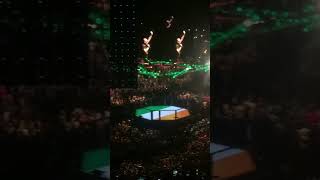 Sinead oconnor foggy dew UFC 189 Conor Mcgregor MGM Las Vegas [upl. by Geiss]