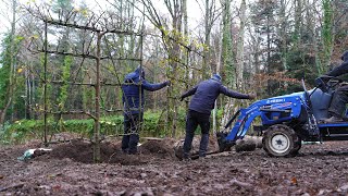 Completing the espalier walled garden now to fill it [upl. by Shifra]