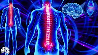 528hz Super Recovery Healing Frequency Whole Body RegenerationCell Nerve Damage Repair Healing [upl. by Simons]