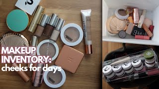 Makeup Inventory  Cheeks  bronzer blush amp highlight  No Buy  Year of Holy Grails [upl. by Miof Mela]