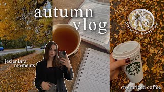 autumn vlog  jesieniara moments🍁 placuszki bananowe🥞 jesienna herbata ☕️ [upl. by Margarida145]