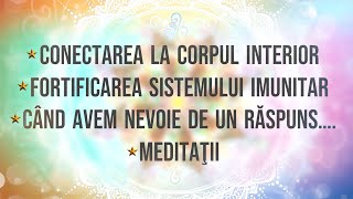 Puterea prezentului Ghid practic Învăţături esenţiale Meditaţii Eckhart Tolle Partea 4 [upl. by Rosalie]