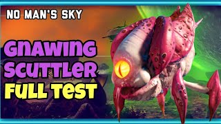 Gnawing Scuttler full test  No mans sky [upl. by Llevrac]