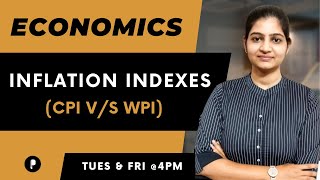 Inflation Indexes  CPI VS WPI  Economics  SSC amp UPSC [upl. by Kris]