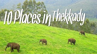 Top 10 Places  Thekkady  south india tourism [upl. by Suivatnad]