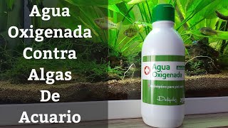 🔵 Agua Oxigenada Para El Acuario Para Eliminar Algas Acuarios MB [upl. by Ardnassac]