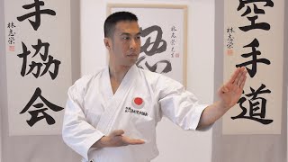 LETS LEARN KARATE with Ryan Hayashi 1  Beginners Training At Home [upl. by Tybald772]