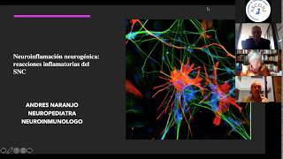 Inflamación y cerebro  Dr Andrés Naranjo Neuropediatra [upl. by Adnir]