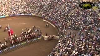 Campeonato Nacional de Rodeo Rancagua 2014  3er y 4to Animal Serie de Campeones [upl. by Annaeerb66]