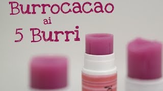 BURROCACAO AI CINQUE BURRI FATTO IN CASA DA BENEDETTA  Homemade quotfive butterquot lip balm [upl. by Mossolb]