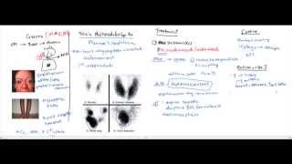 Hypothyroidism Hyperthyroidism Thyroid Storm for the USMLE [upl. by Tnomed]