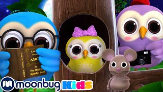 A Wise Old Owl  Little Baby Bum  Kids Songs  Nursery Rhymes  Baby Songs [upl. by Zanlog]