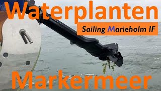 Waterplanten in het Markermeer  Sailing Marieholm IF [upl. by Moriyama]