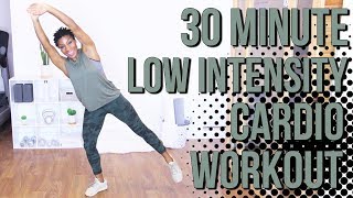 30 Minute LIIT Cardio Workout  Fat Burning  Low Intensity Interval Training [upl. by Alpers]