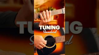 How to Tune an Acoustic Guitar for Beginners  StepbyStep Guide [upl. by Nnayllek82]