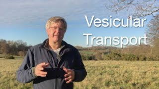 Organelles Understanding Vesicular Transport [upl. by Carlita]