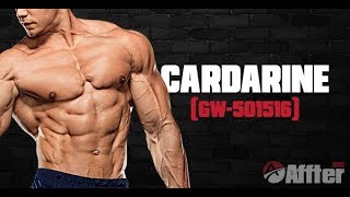 Cardarine GW501516 Explained [upl. by Arocahs57]