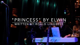 PRINCESS  ELWIN written by ROALD [upl. by Gintz]