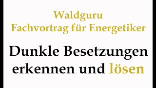 Waldguru  Fachvortrag für Energetiker  Besetzungen erkennen und lösen [upl. by Inman]