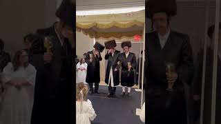 Hasidic Chuppah [upl. by Ainolopa]