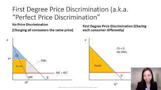 Price Discrimination 1 Overview of 1st 2nd amp 3rd Degree Price Discrimination Principle Level [upl. by Larentia481]