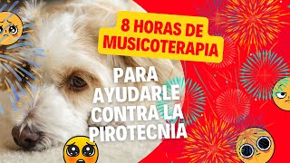 🎼 MUSICOTERAPIA PARA PERROS QUE SUFREN POR LA PIROTECNÍA 💥 8 horas de música relajante para perros 🐶 [upl. by Oiralednac]