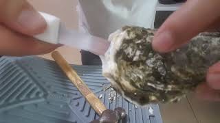 ยก NO OYSTER KNIFE NEEDED SHUCKING INSTRUCTIONS [upl. by Fergus]