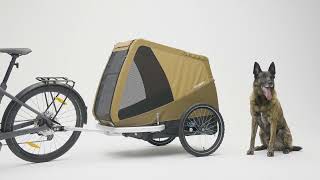 Croozer Tammo Dog Bike Trailer  XLarge Dogs [upl. by Leicester]