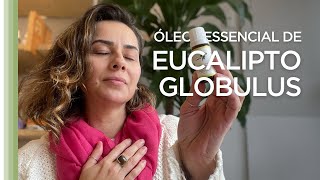 ÓLEO ESSENCIAL DE EUCALIPTO GLOBULUS [upl. by Sheelah]