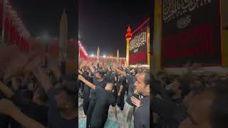 Azadari at imam ali holy shrine Najaf ashraf Pakistani zaireen imamali najaf imamhussain karbala [upl. by Puglia]