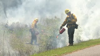 Gainesvilles Prescribed Fire Program [upl. by Eanwahs]