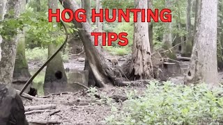 TIPS FOR HOG HUNTING [upl. by Recor684]