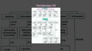 Vertebrates VS Invertebrates biology science vertebrates [upl. by Ennagem142]