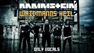 Rammstein  Waidmanns Heil Only Vocals [upl. by Hefter]