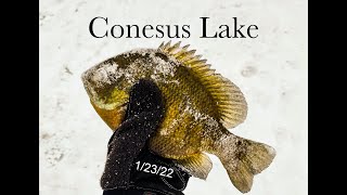 Conesus Lake Ice Fishing 12322 [upl. by Davidde]