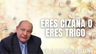 Pr Alejandro Bullon Eres cizaña o eres trigo [upl. by Venditti742]