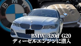 BMW 320i G20G21 ディーゼルエンジンに潜入 [upl. by Ramsdell]