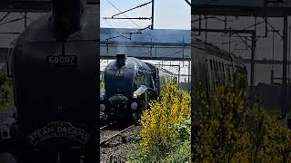 A4 Class Pacific 60007 quotSir Nigel Gresleyquot through Lichfield Trent Valley  Aerodynamic Steam Engine [upl. by Jenks]