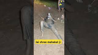 Bholanath raksha karna mahakal Bholanath night mahedav trendingshorts [upl. by Livingston122]