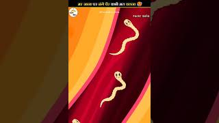 What is a hookworm [upl. by Repsihw]