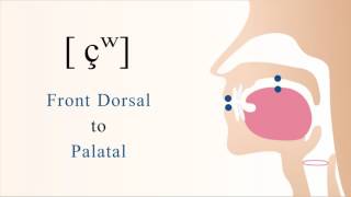 çʷ  unvoiced labialized dorsal palatal non sibilant fricative [upl. by Sayer26]