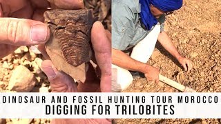 Dinosaur amp fossil hunting tour Morocco  Digging for Trilobites [upl. by Mutua516]