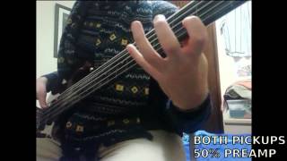 PEDULLA PENTABUZZ  CHORDS  5 STRING FRETLESS BASS [upl. by Leugim]